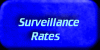 New York Private Investigators surveillance rates. Multiple pricing plans for surveillance. Order online